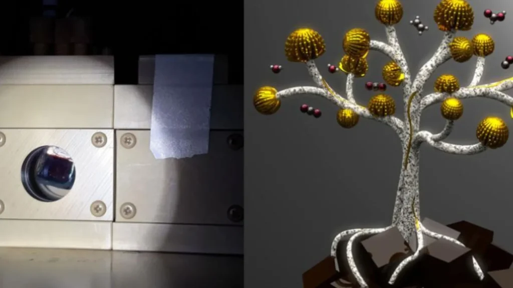 Las nanoflores de cobre y el enfoque innovador en la conversión de CO₂