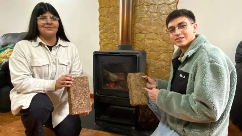 Leña ecológica