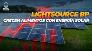 Lightsource bp impulsa la agrivoltaica en Francia 2025