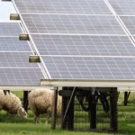 Lightsource bp drives sustainable agriculture at key 2025 forum