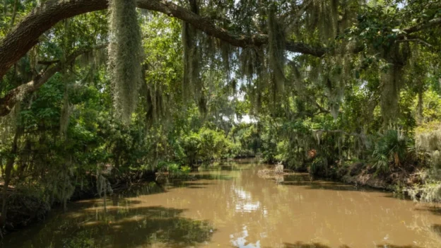Los cambios de rumbo del proyecto Mid-Barataria
