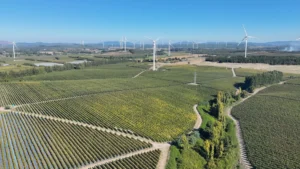 Enel adquiere parque eólico por 145 millones de euros en Italia