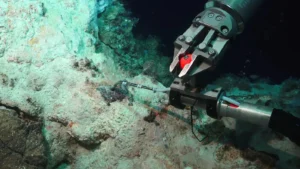 Los microorganismos determinan la formación de minerales en el fondo marino de Milos