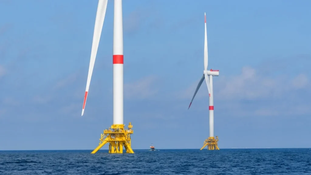 Los riesgos ambientales en los ecosistemas marinos