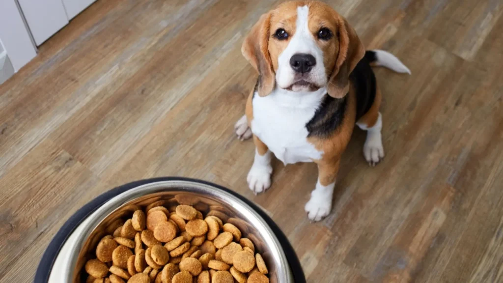 Mars fabricará alimentos para mascotas de forma renovable