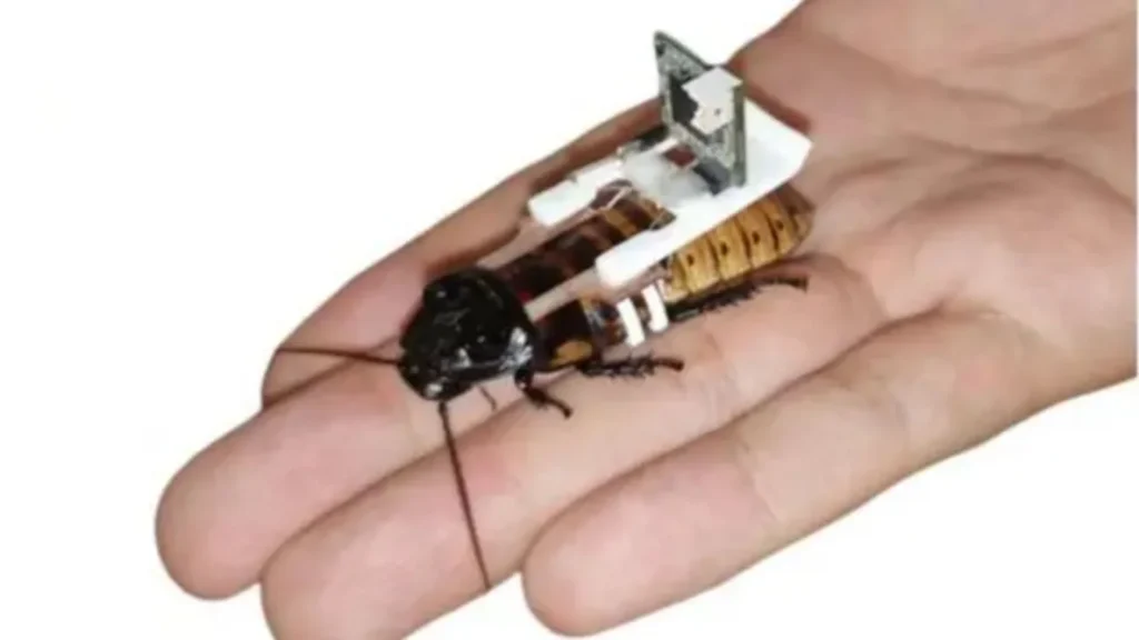 Máquina fabrica cucarachas cyborg