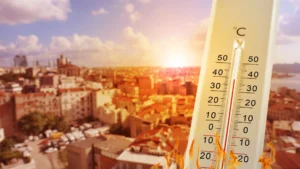 Heat waves in Europe widen the business insurance gap