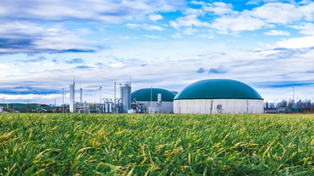 Planta de energía de biomasa
