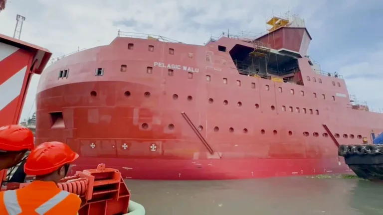 Pelagic Walu entra en fase de equipamiento