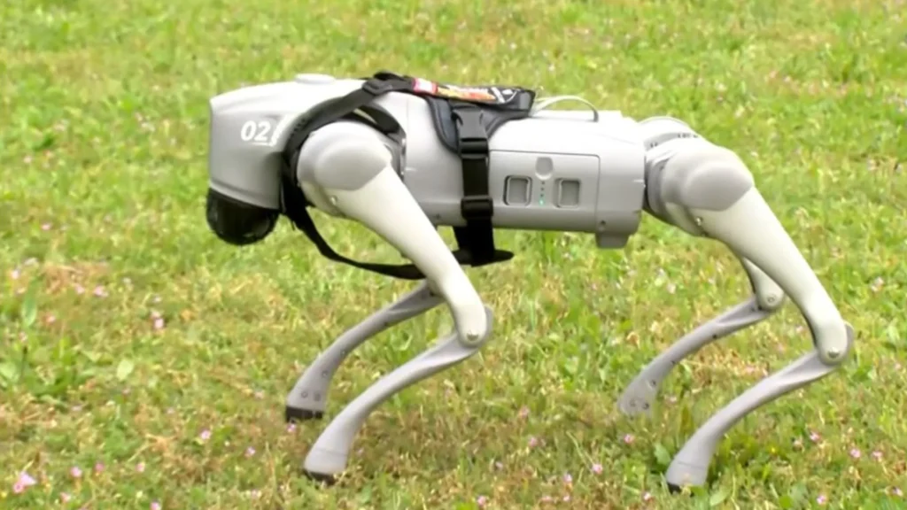 Újpest presents its first robot dog with a focus on education and empathy from childhood onwards