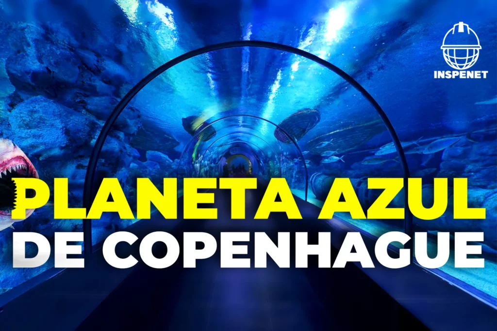 Dive Into Ocean Wonders at Denmark’s Blue Planet Aquarium!