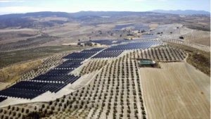 Plenitude arranca operaciones en Granada con un nuevo complejo solar de 150 MW