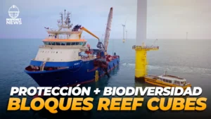 RWE y ARC Marine despliegan Reef Cubes en el parque eólico Rampion