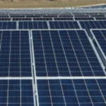 Rabbit's Foot Solar e