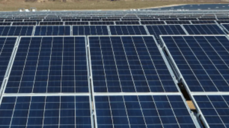 Rabbit's Foot Solar e