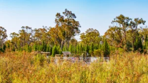 Santos y ENGIE se alían para llevar gas de Narrabri al mercado local
