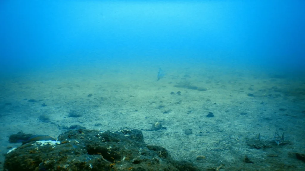 abyssal zone of the ocean