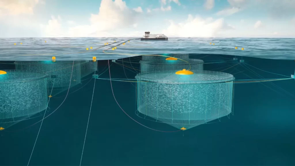 Solución en energía solar flotante AKVA Group