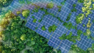 Thrive Renewables asegura millones de dólares para energías limpias