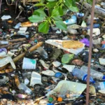 Scientists succeed in transforming plastic waste into high-performance catalysts