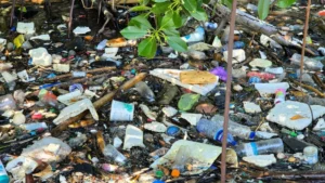 Scientists succeed in transforming plastic waste into high-performance catalysts