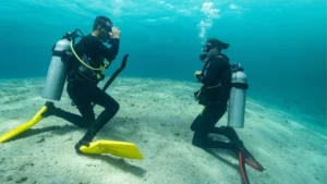 UCC recibe inversión para ampliar su infraestructura submarina