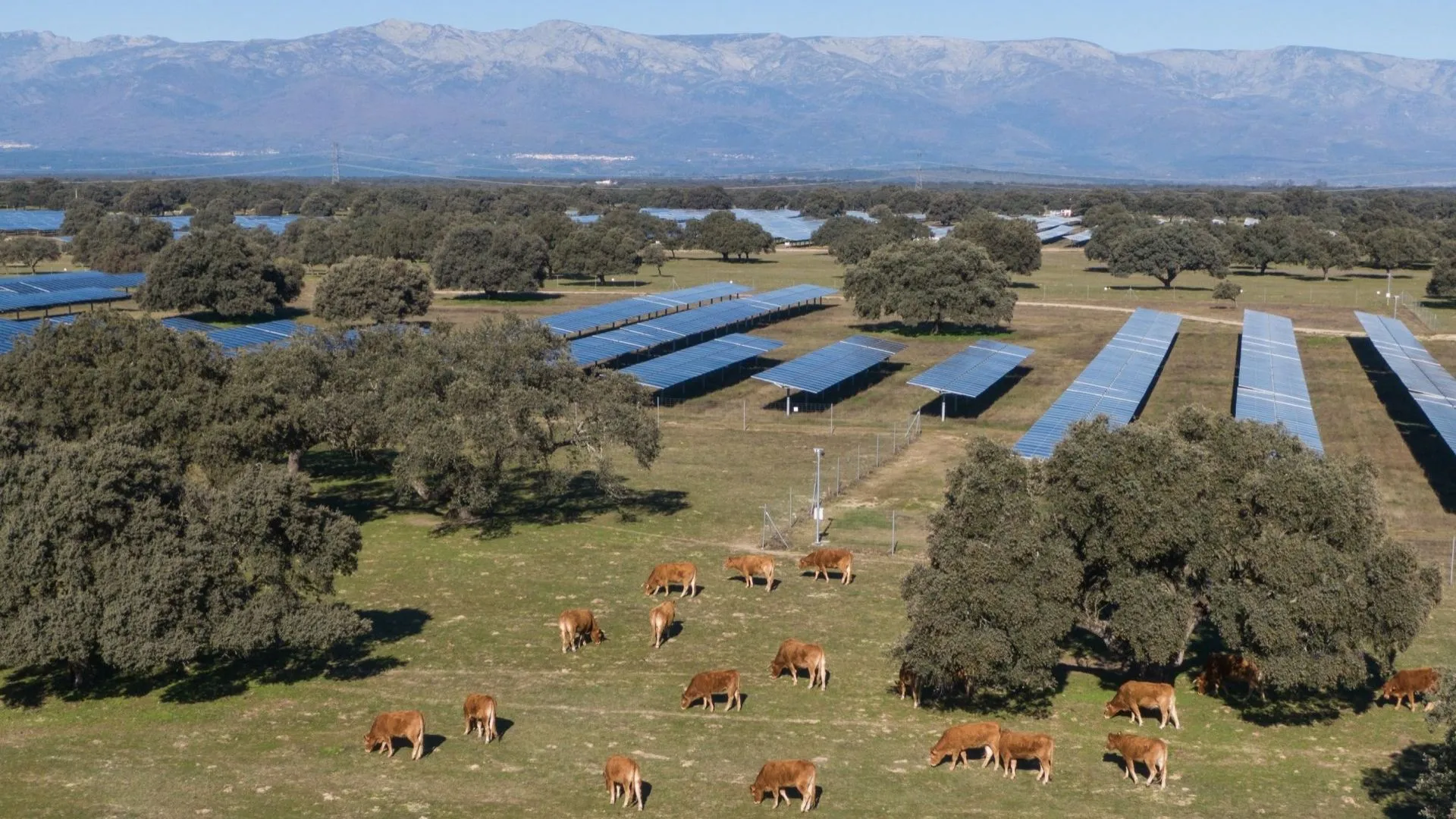 UNEF concede Sello de Excelencia en Sostenibilidad a Talayuela II planta solar.