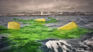 Un cementerio submarino que va a sepultar desechos nucleares