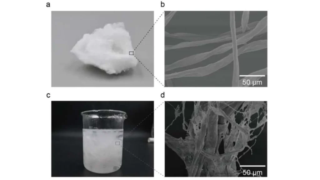 Un filtro de espuma en materiales innovadores