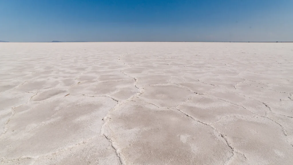 Bolivia seeks to regain investor confidence by maintaining lithium and energy contracts