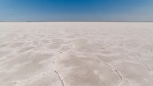 Bolivia busca recuperar la confianza inversora manteniendo contratos de litio y energía