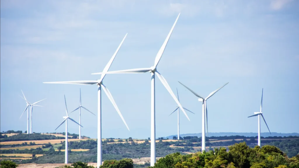 Una subasta de energía eólica marina que busca la recuperación económica