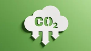 Vaulted Deep and Microsoft to eliminate carbon through waste management