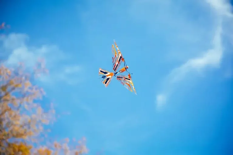 X-Fly de Bionic bird