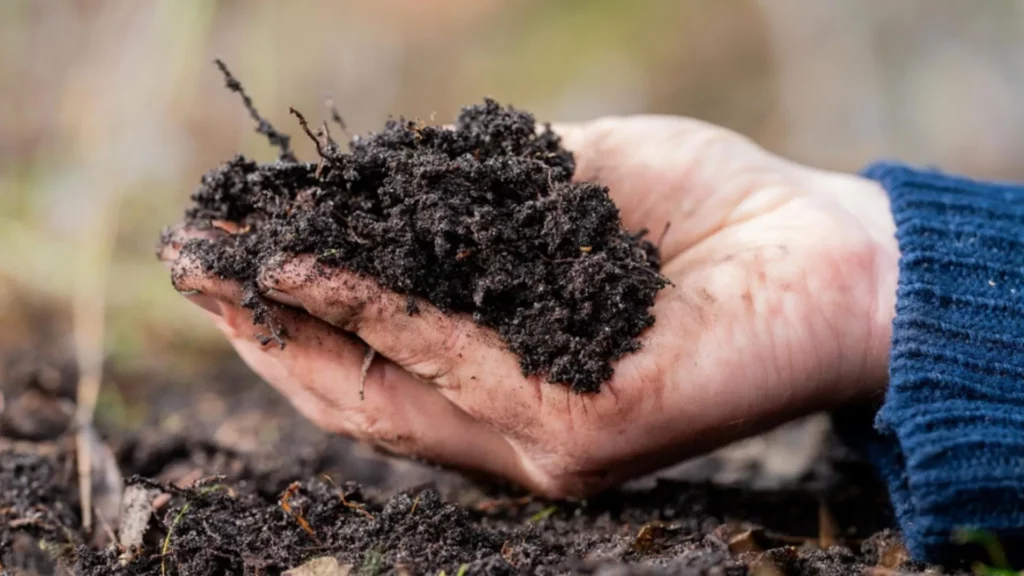 Yara desarrolla fertilizantes sostenibles y bajos en carbono