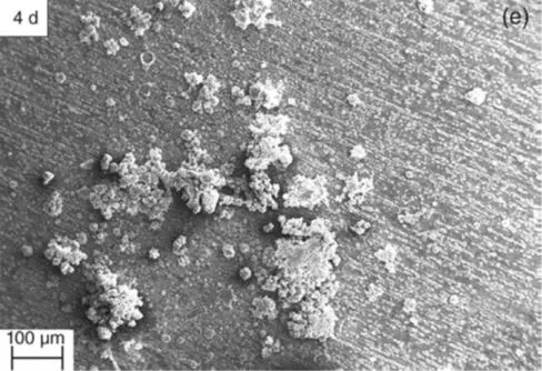 Zinc surface after 4-day AC exposure