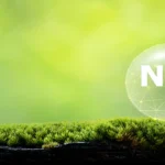 Amoníaco verde como vector energético en la transición