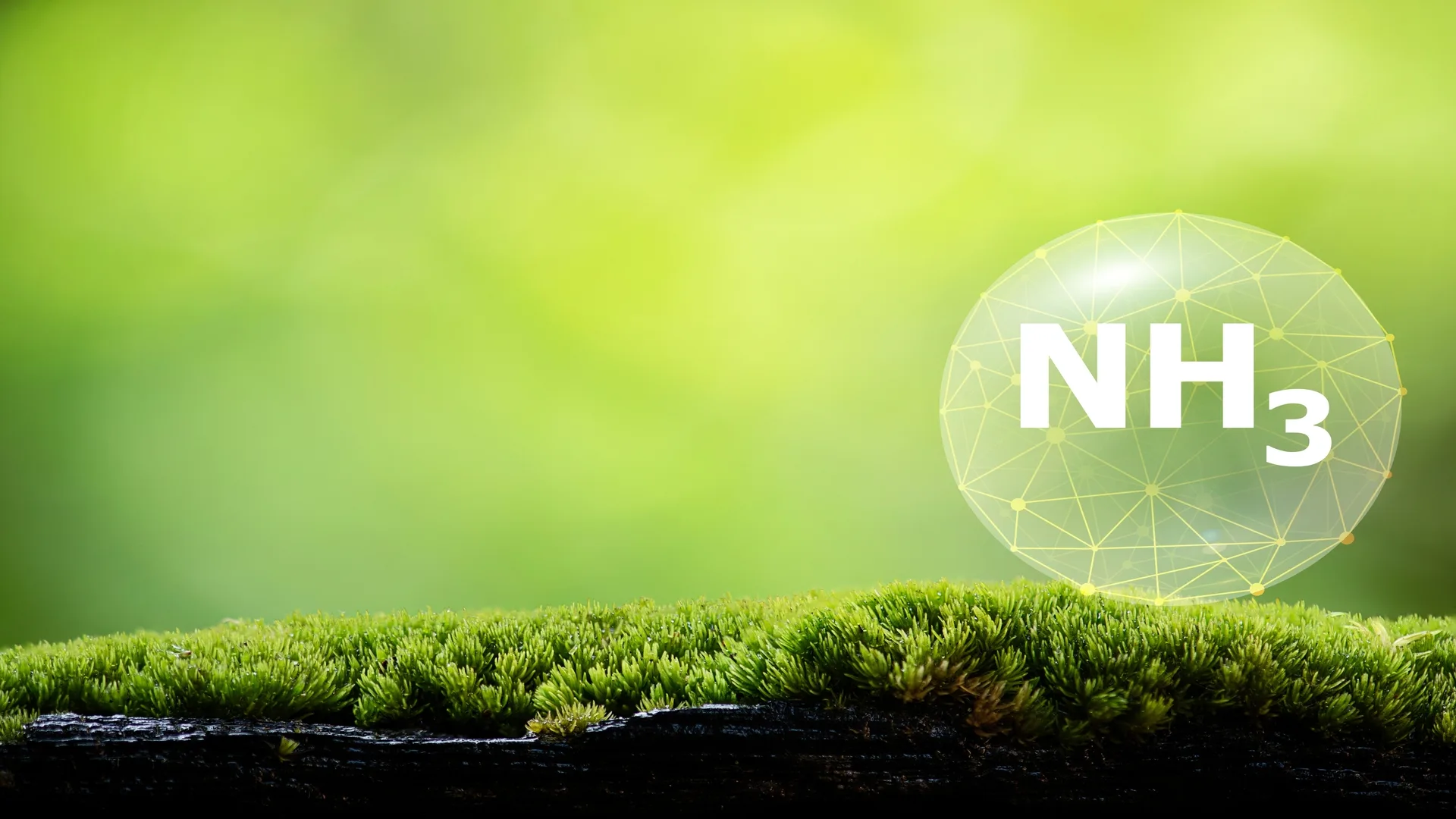 Amoníaco verde como vector energético en la transición