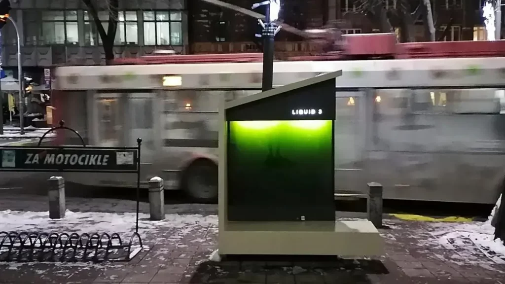 ¿Conoces los «árboles líquidos» que ayudan a reducir la contaminación?