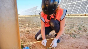 The Steppe Forward Chair assesses the impact of solar energy on steppe biodiversity