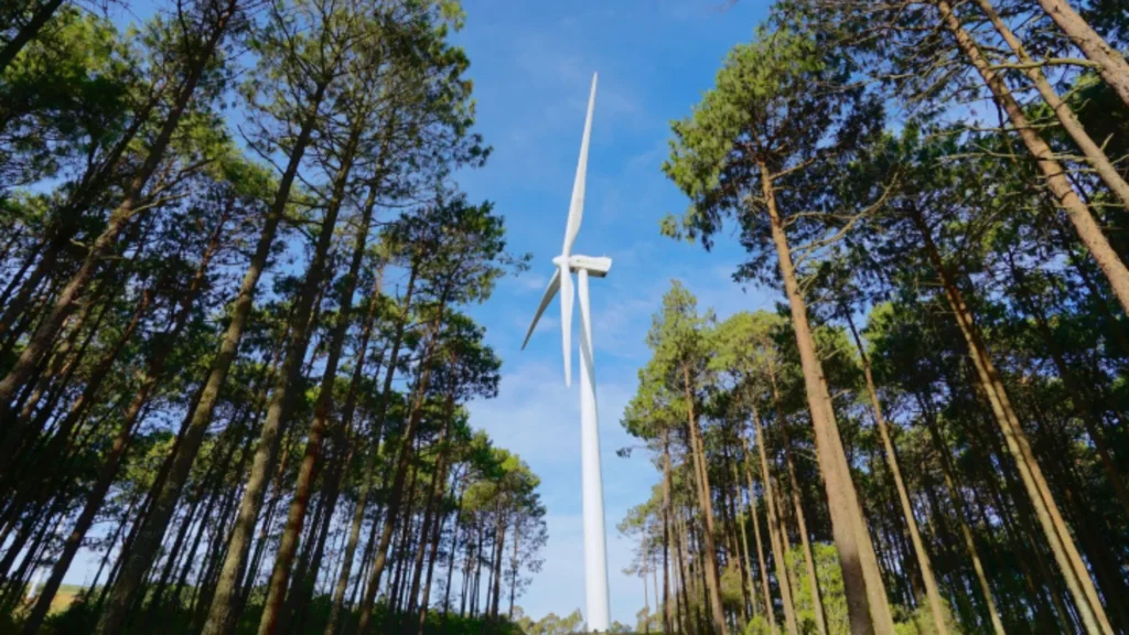 Iberdrola y la construcción del mayor parque eólico de Portugal
