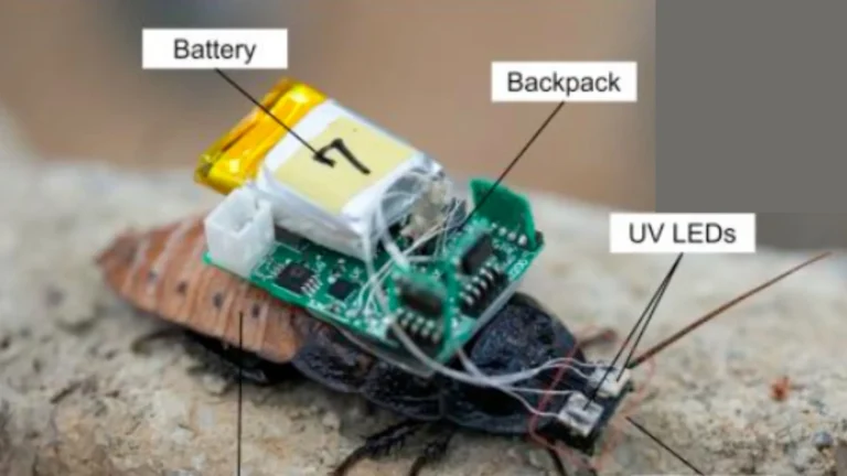 cucaracha cyborg con casco puesto