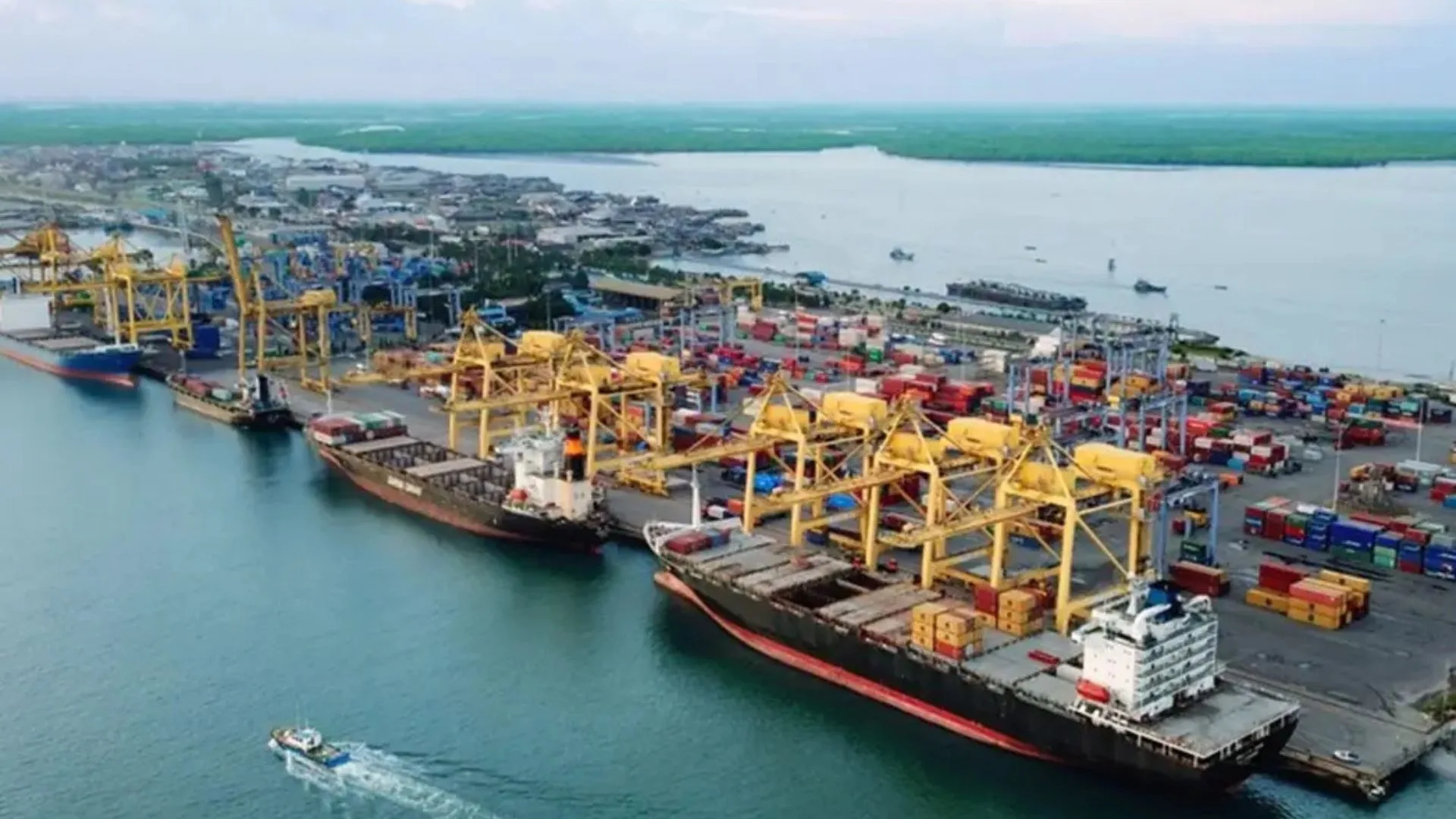 Egis en puerto Belawan Indonesia evaluación técnica