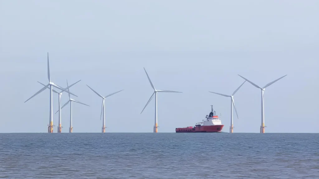 EirGrid celebra avance clave en energía eólica marina en Irlanda