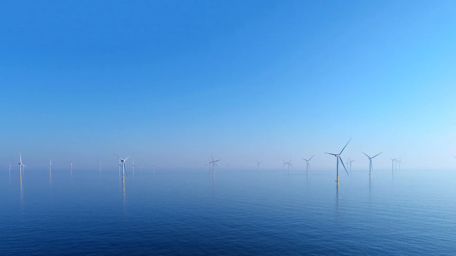 imagen referencial del parque eólico marino OranjeWind