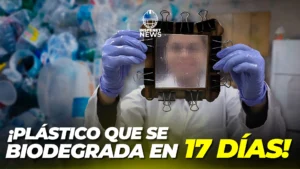 Plástico que se biodegrada en 17 días