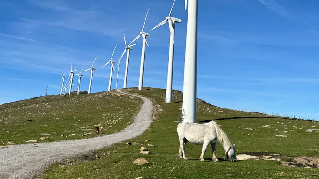 Iberdrola promueve el parque eólico de Labraza con inversión local