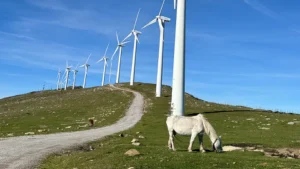 Iberdrola promueve el parque eólico de Labraza con inversión local