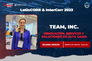 Juliana Araujo, Gerente de Cuentas - Team Inc.