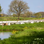 Expansión de gasoductos en EE.UU. para 2025